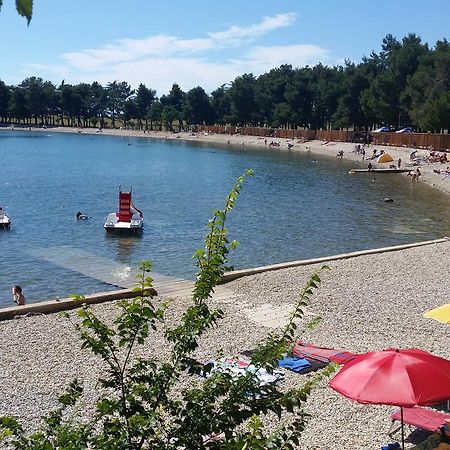 Apartments Daniela Novigrad Istria المظهر الخارجي الصورة
