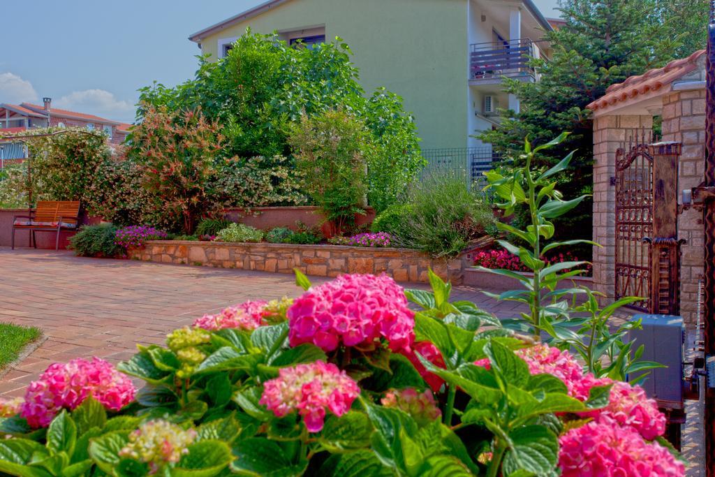 Apartments Daniela Novigrad Istria المظهر الخارجي الصورة