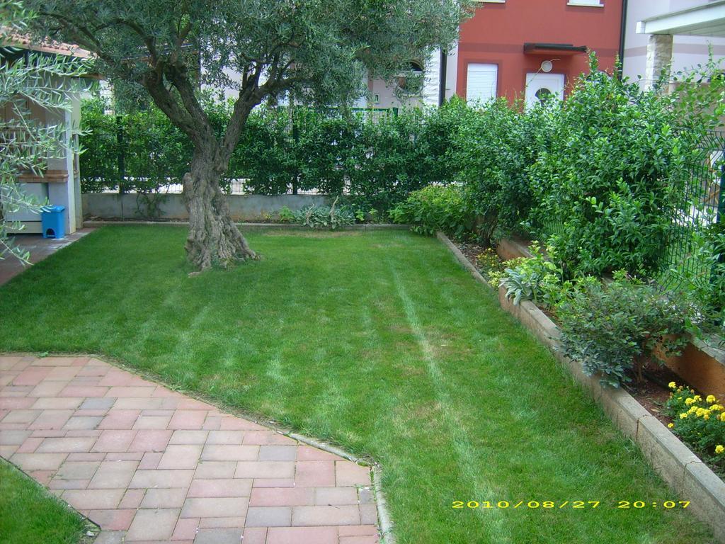 Apartments Daniela Novigrad Istria المظهر الخارجي الصورة