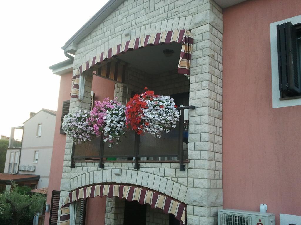 Apartments Daniela Novigrad Istria المظهر الخارجي الصورة