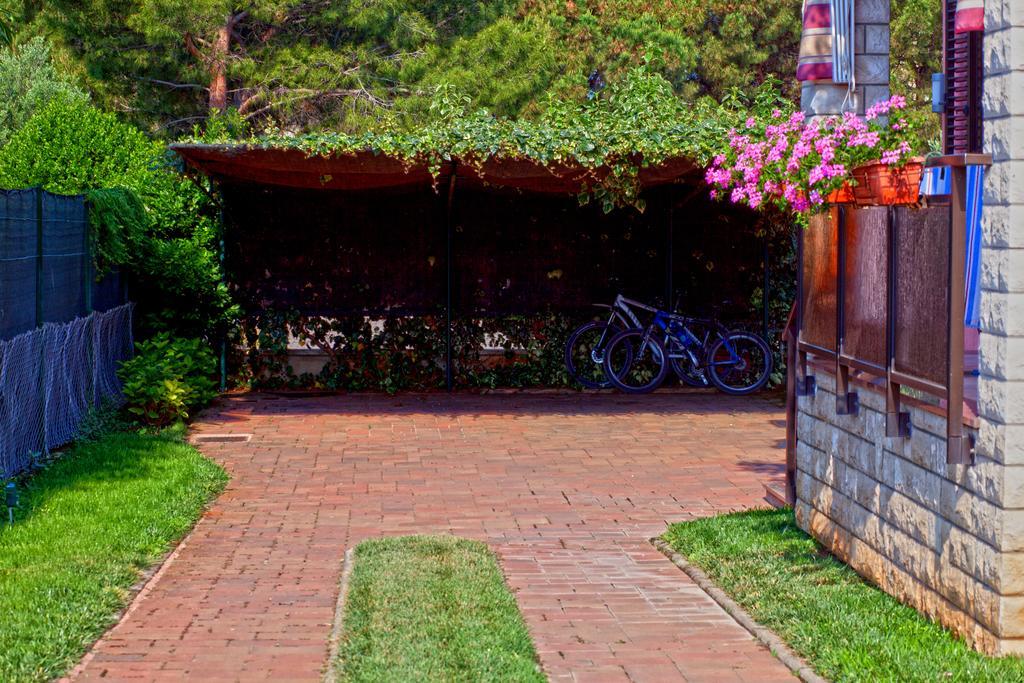 Apartments Daniela Novigrad Istria المظهر الخارجي الصورة