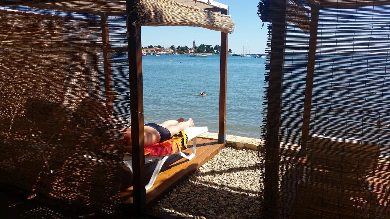 Apartments Daniela Novigrad Istria المظهر الخارجي الصورة